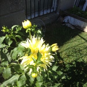 Meet your Posher, Ericka