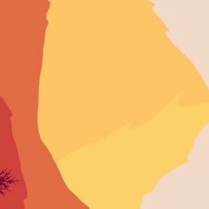 Meet your Posher, Vince