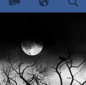 Meet your Posher, Summer