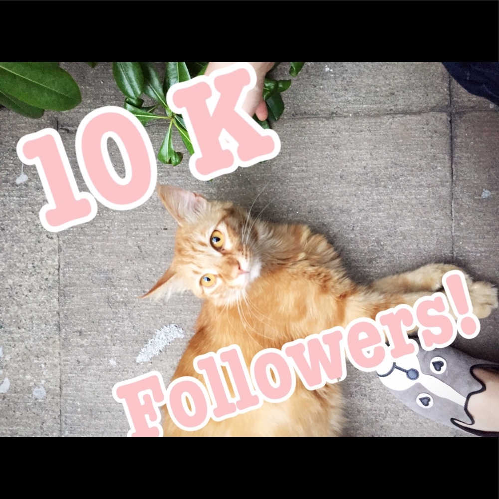 Celebrating 10K followers!!