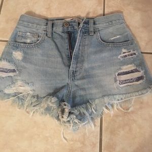 Hollister festival Short