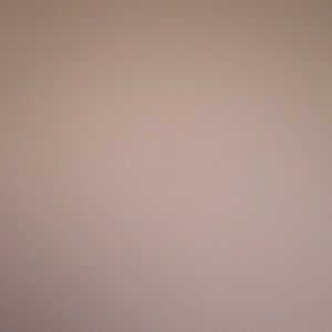 Meet your Posher, Lashawn