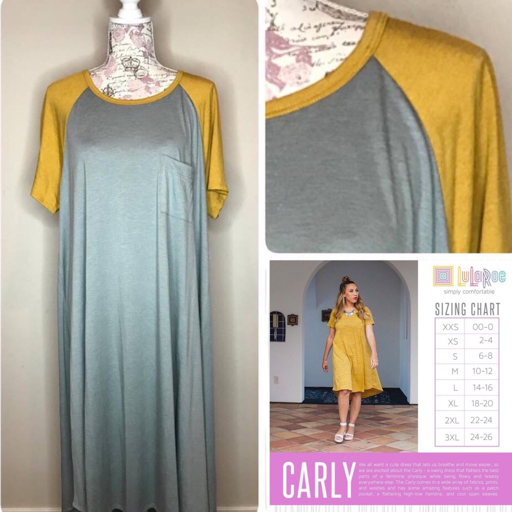 PRIVATE LISTING! LuLaRoe Carly Size L