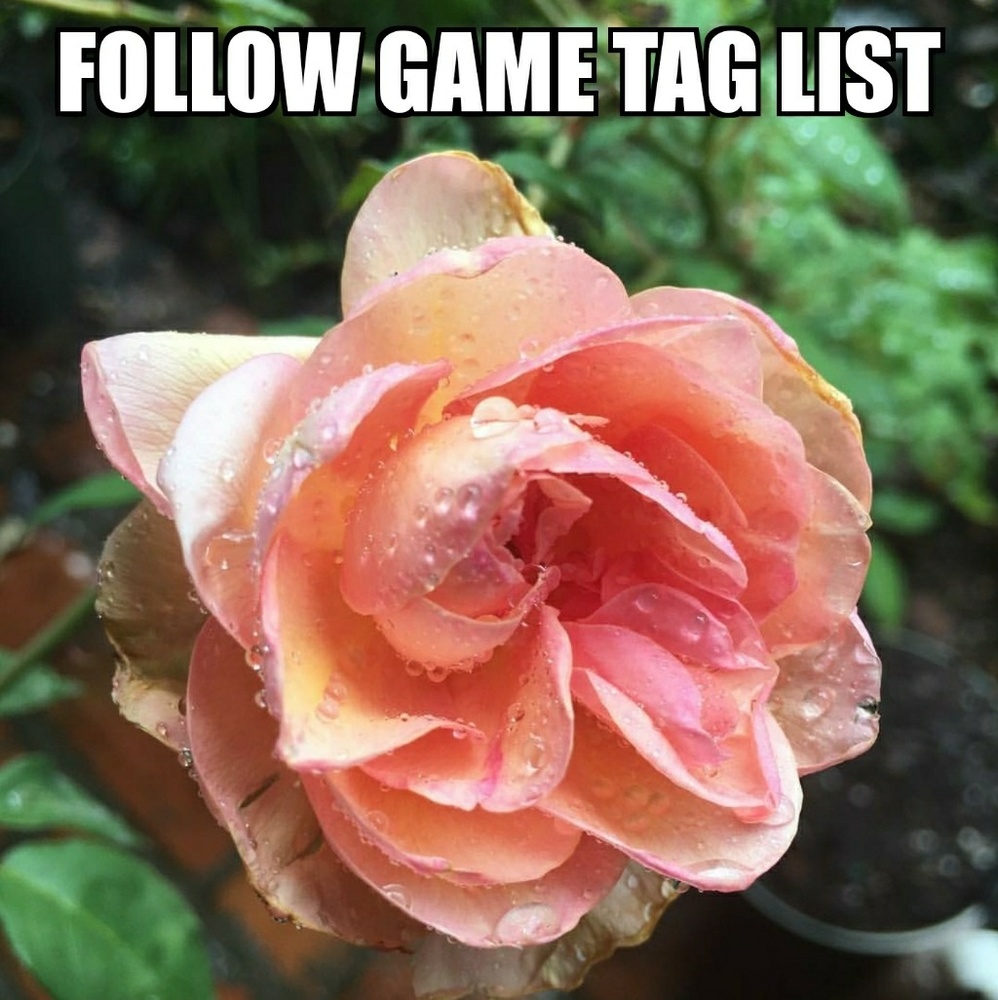 Follow Game Tag List Comment Let's Grow Together