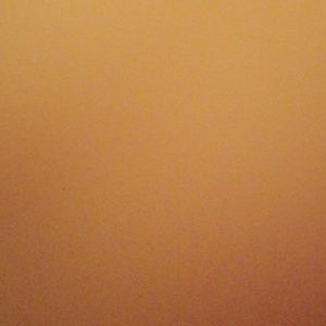 Meet your Posher, Genesis