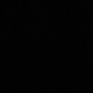 Meet your Posher, Abbey