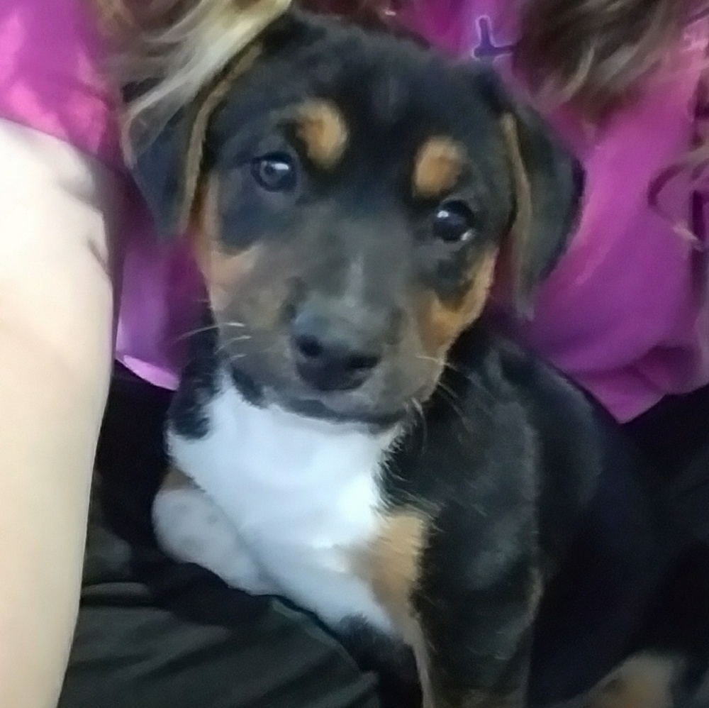 Meet your Posher, Tara