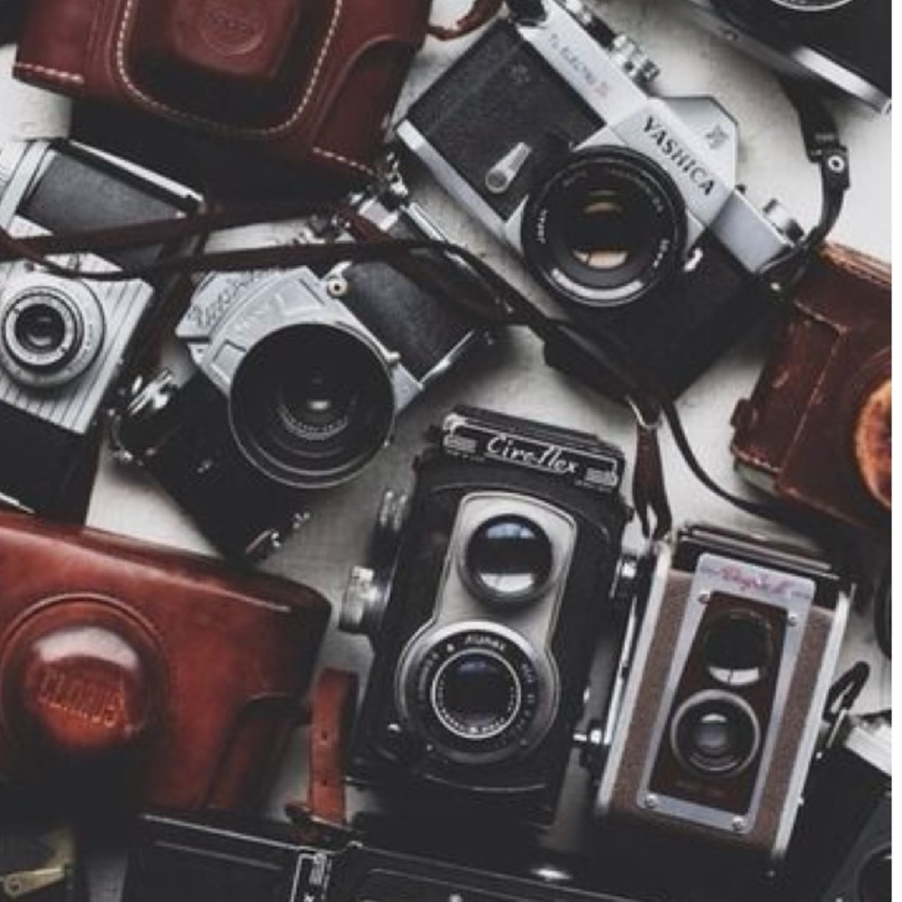 Meet your Posher, Haley-grace