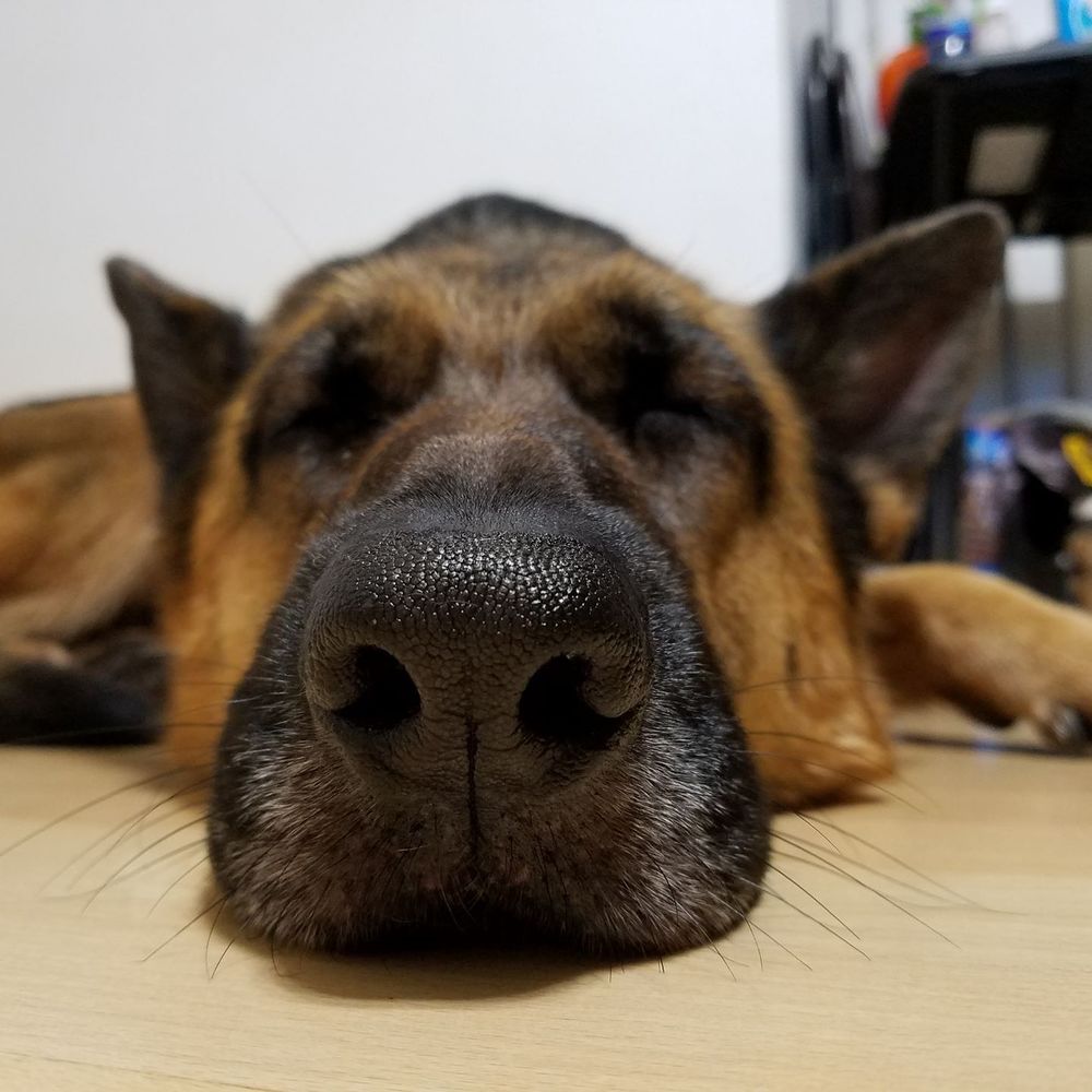 Meet your Posher, Iyah