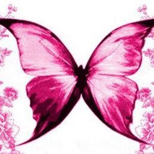 Meet your Posher, Priscilla