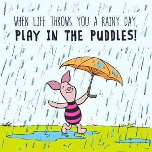 Meet your Posher, Noha