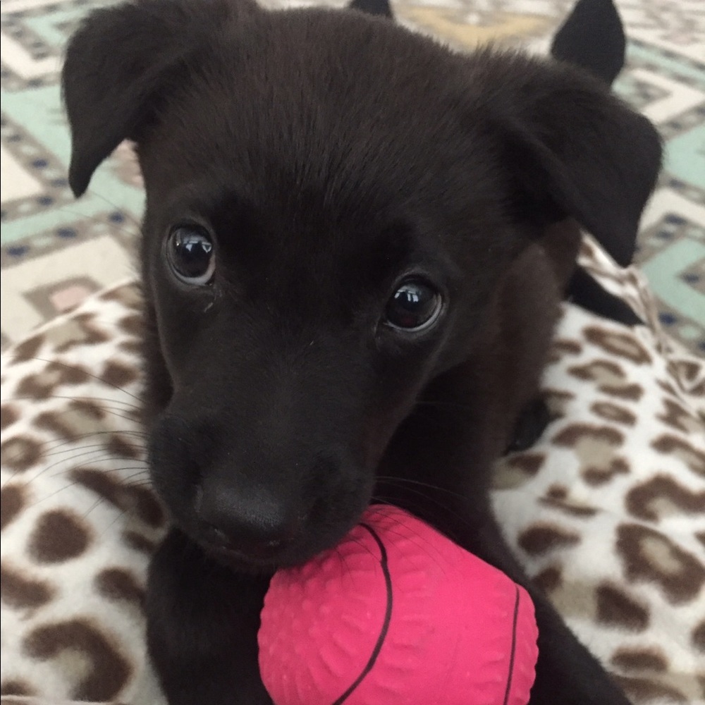 Meet your Posher, Kalee