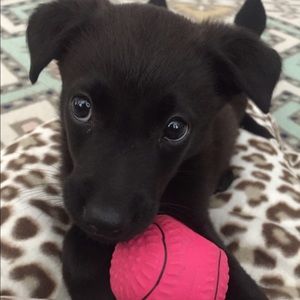 Meet your Posher, Kalee