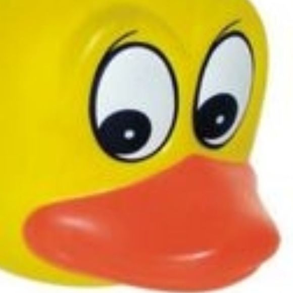 Meet your Posher, Ann - Picture 1 of 1