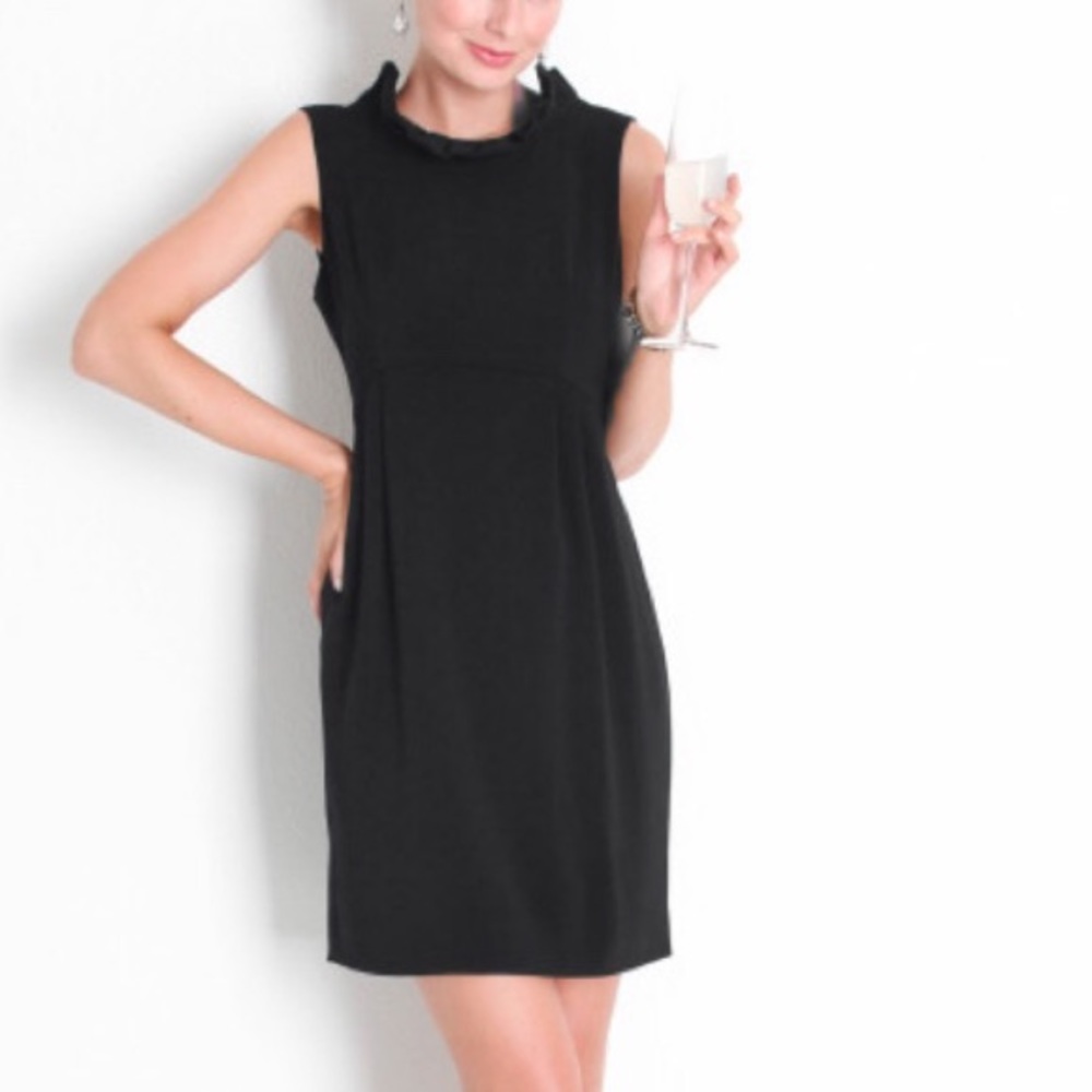 BNWT Camilyn Beth go-go dress