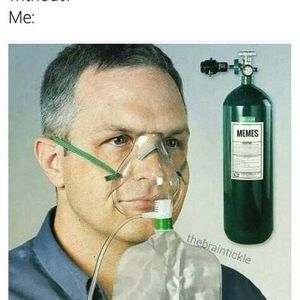 Meet your Posher, Eva