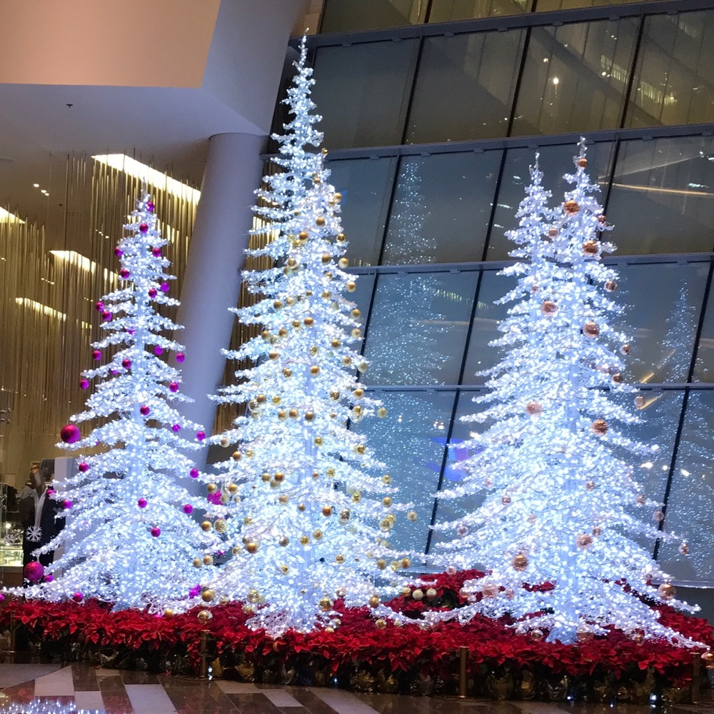 Meet your Posher, Suk ha