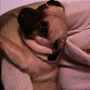 Meet your Posher, Bridget