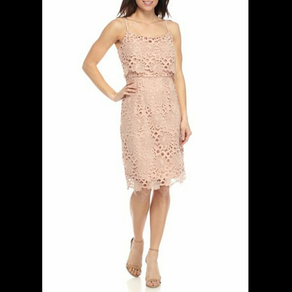 Nanette Lepore? Lace Sheath Dress blush pink NWT