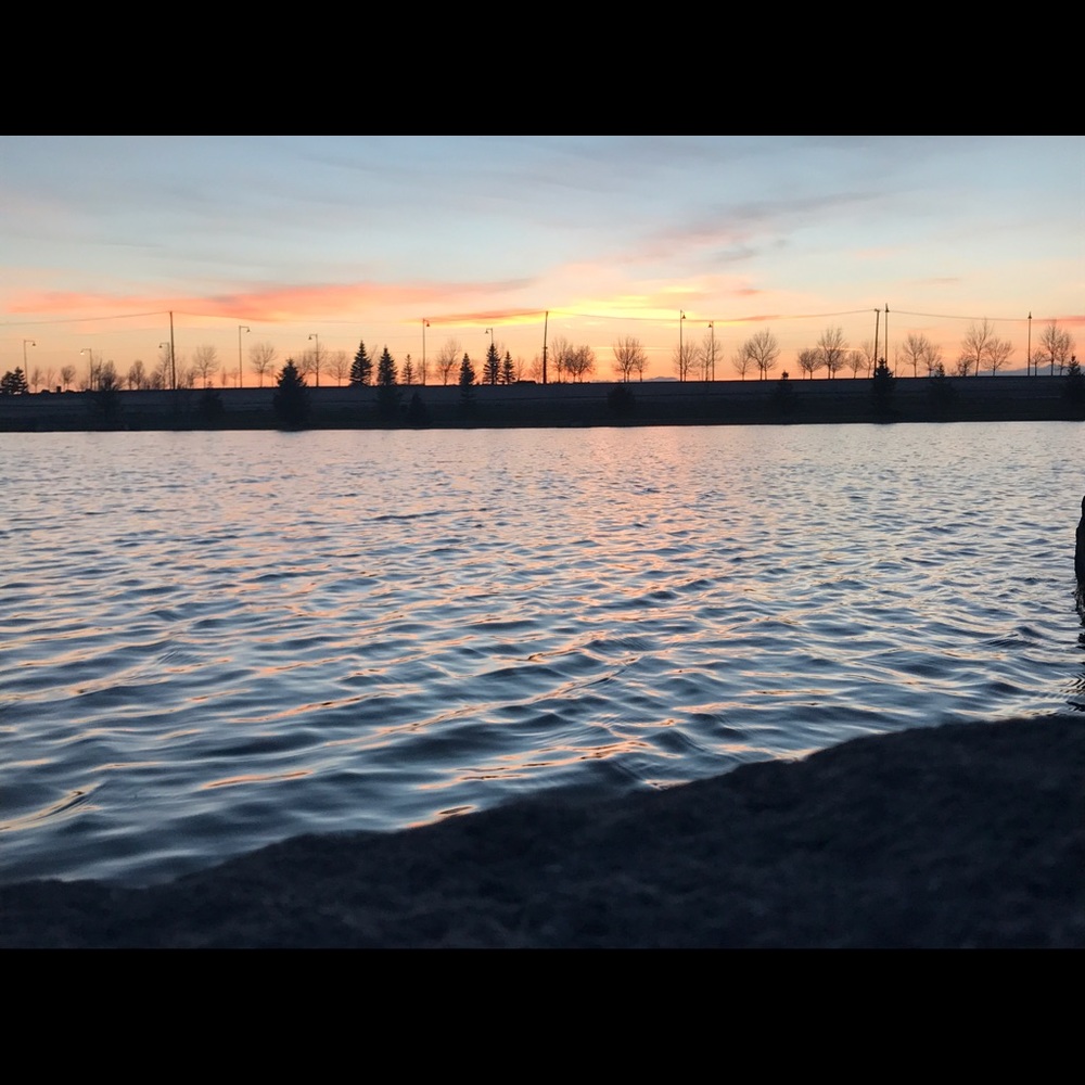 Meet your Posher, Madelynn