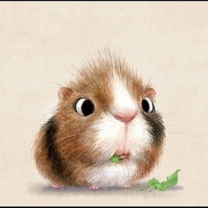 Meet your Posher, Lu