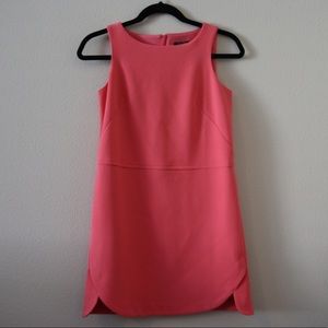 Ann Taylor Petite Dress