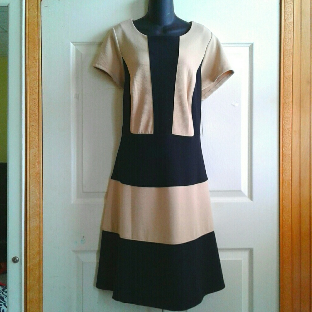 Black and Cream Colorblock Dress