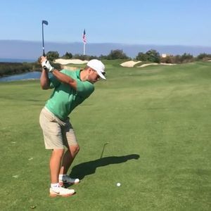 Meet your Posher, Henry