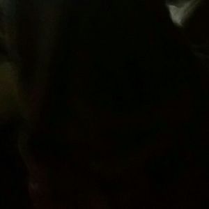 Meet your Posher, Mia