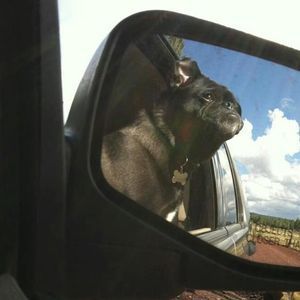 Meet your Posher, Terri