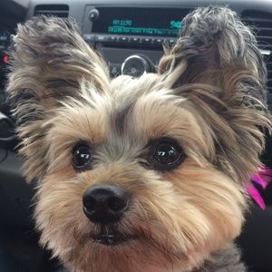 Meet your Posher, Robyn