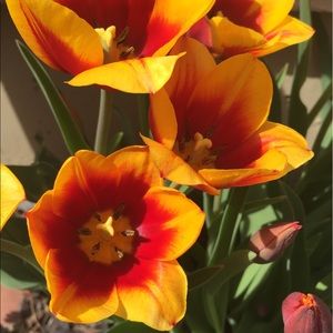 Meet your Posher, Nickole