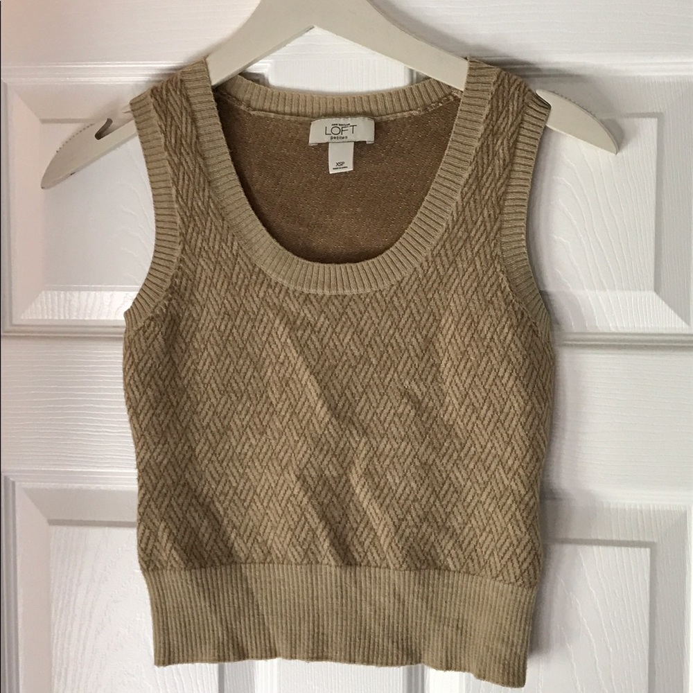 Ann Taylor Loft Sweater Vest