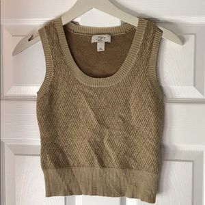 Ann Taylor Loft Sweater Vest