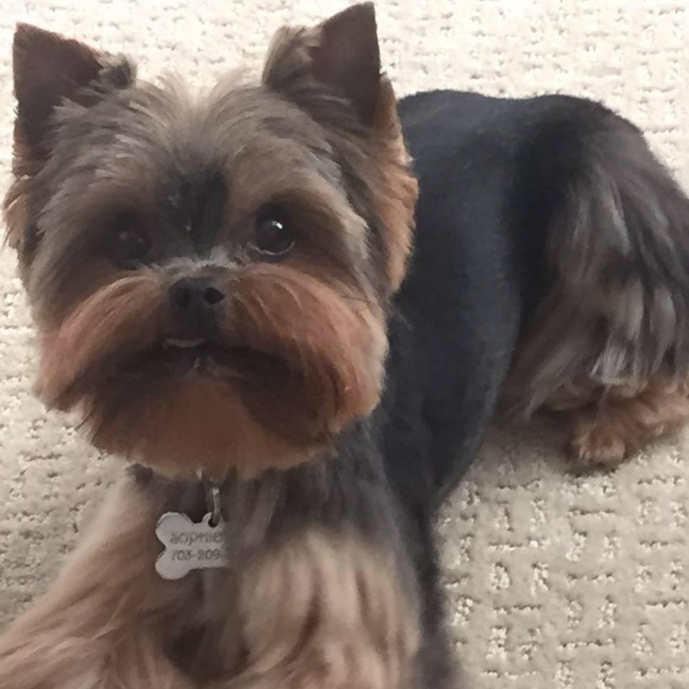 Meet your Posher, Ann