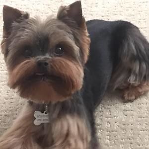 Meet your Posher, Ann