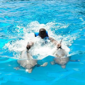 Meet your Posher, Lonal