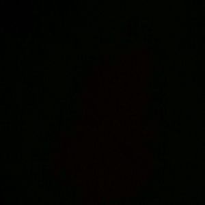 Meet your Posher, Shania