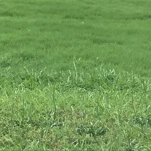 Meet your Posher, Brittney