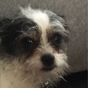 Meet your Posher, Patricia