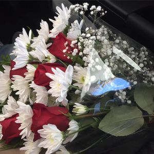 Meet your Posher, Lupe