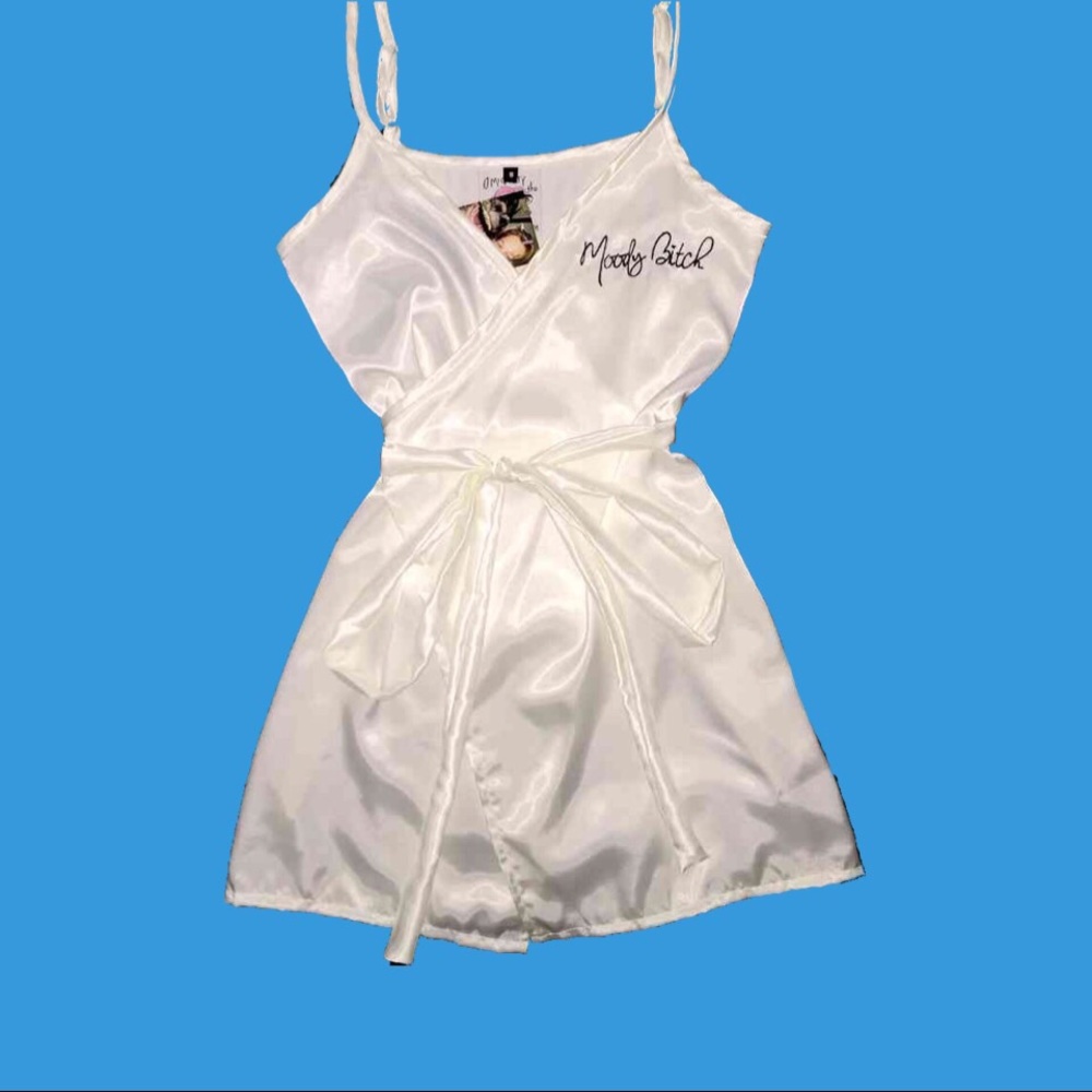 🦄OMIGHTY Moody Bitch Silk Dress🦄