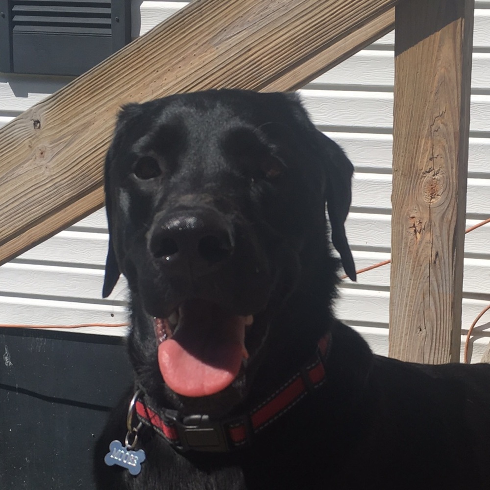 Meet your Posher, Mckenzy