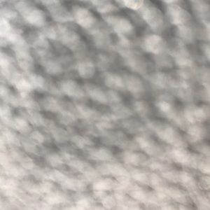 Meet your Posher, Sophie