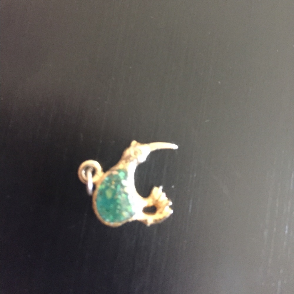 Vintage Kiwi Bird Charm