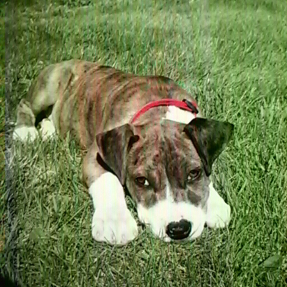 Meet your Posher, Tracy