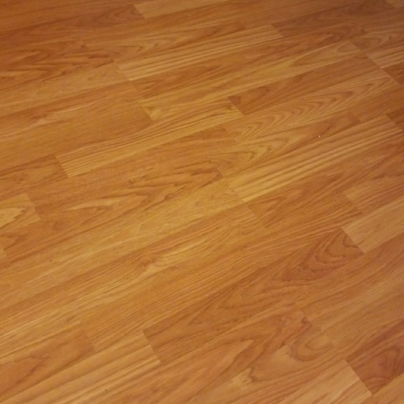 Meet your Posher, Diana - Picture 1 of 1