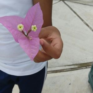 Meet your Posher, Ela