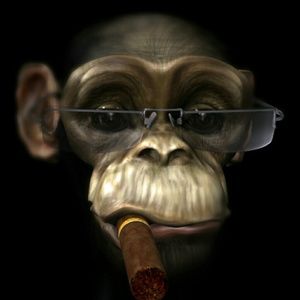 Meet your Posher, Therese