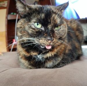 Meet your Posher, Roxanne